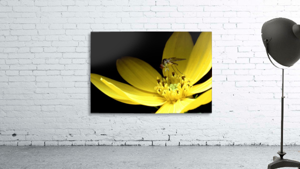 Biting Flower Wall Preview