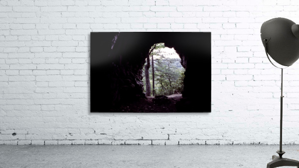 Forest Cave Wall Preview