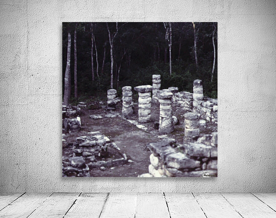 Ancient Forest Wall Preview