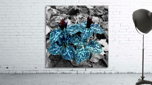 Camouflaged Flowers  Wall Preview