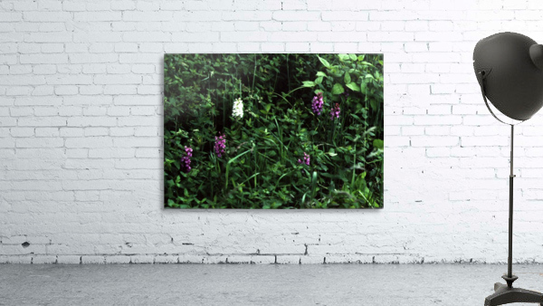 Be Different Wall Preview