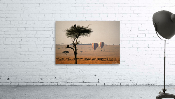 Savanna Balloon Wall Preview