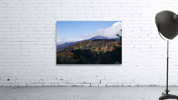 Autumn s Canvas Wall Preview