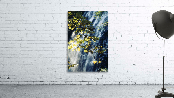 Cascade Under Forest Light Wall Preview