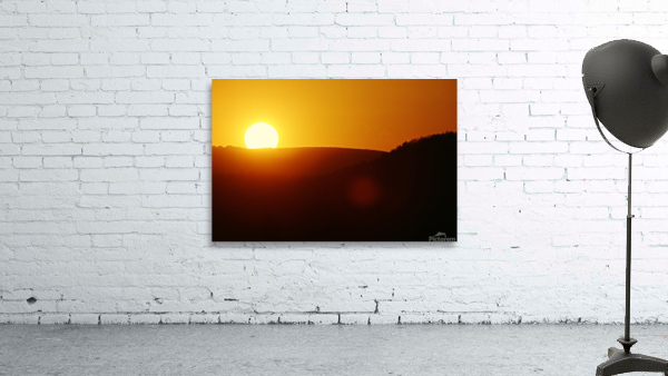 Honeyed Sky Wall Preview