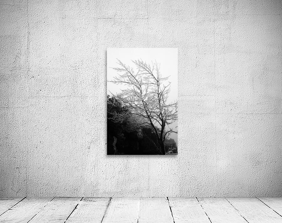 Glass Tree Wall Preview