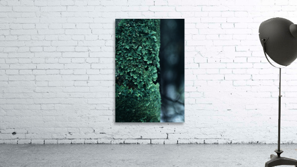 Soft Green Scales Wall Preview