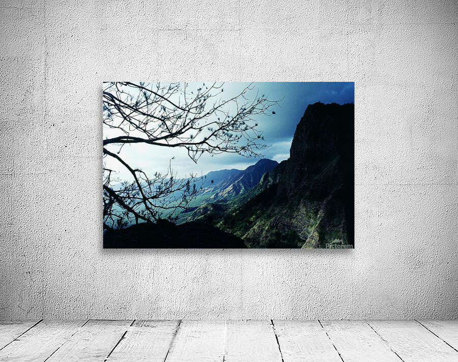 Overlook Wall Preview