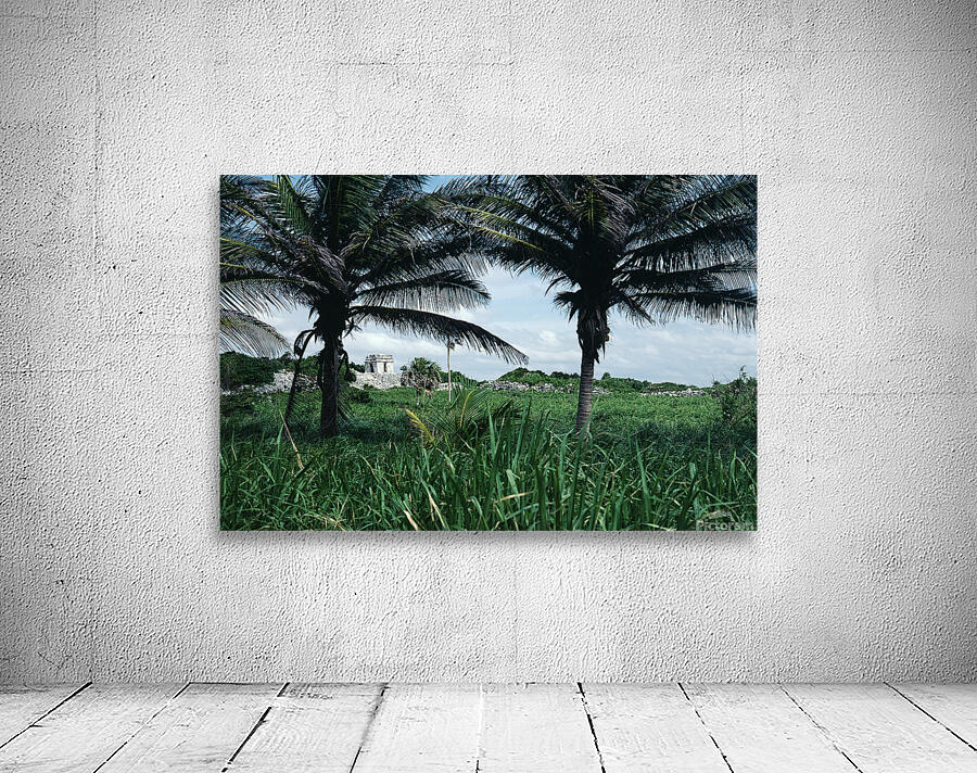 Between Two Fronds Wall Preview