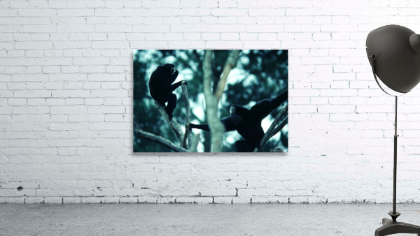 Howler Monkey Wall Preview