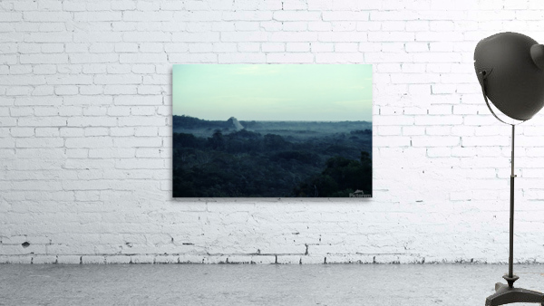 Mayan Mists Wall Preview