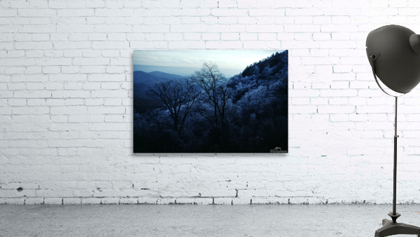 Powder Blue Wall Preview