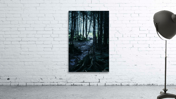 Secluded Path Wall Preview