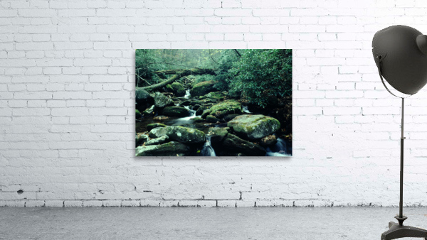 Serene Stream Wall Preview