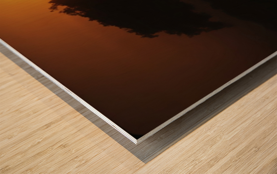 Sunset on the Serengeti Wood print