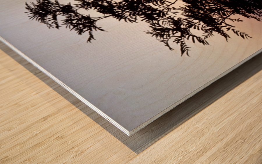 Mountain Ash Wood print