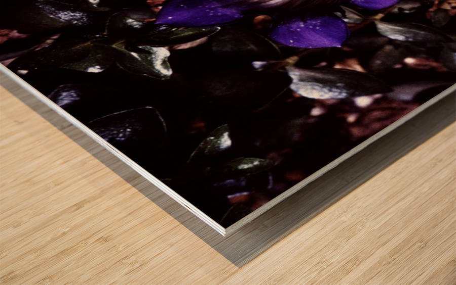 Nebulous Flower Wood print