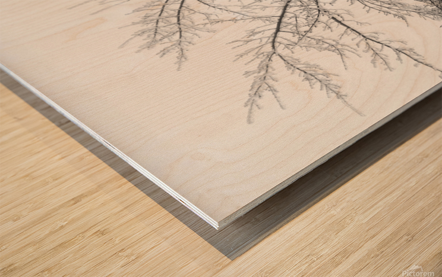 Glass Tree Wood print