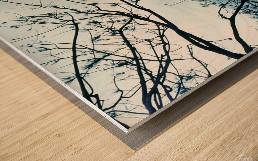 Overlook Wood print