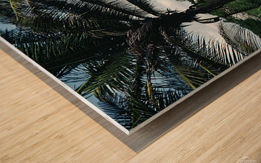 Between Two Fronds Wood print