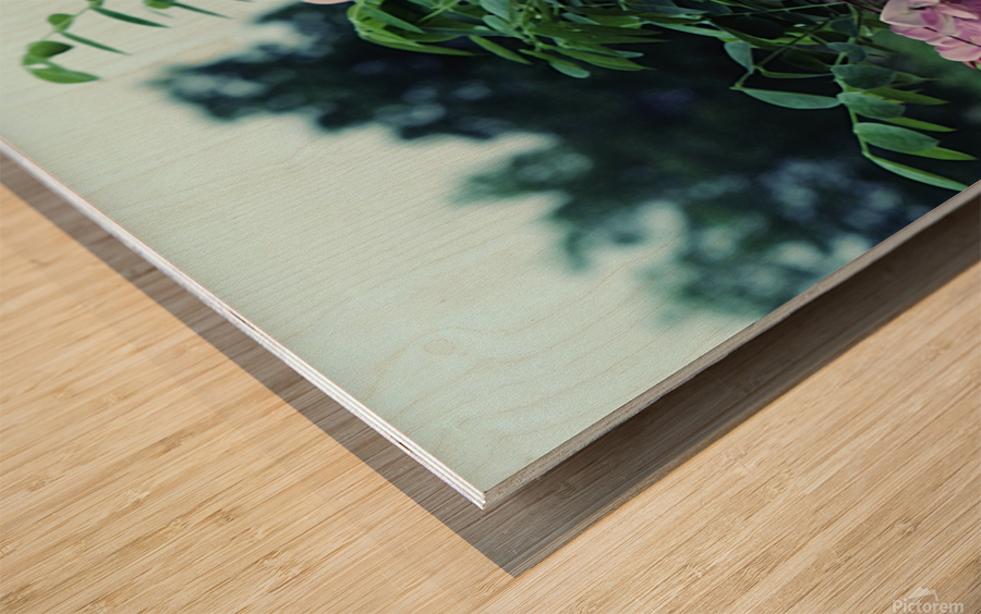 Bristly Locust Wood print