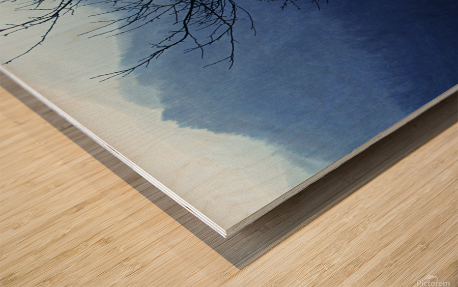 Cold Mountain Wood print