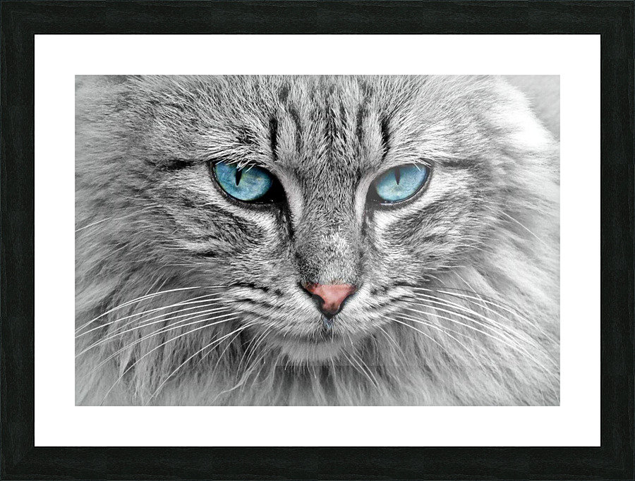  Tirage d’art