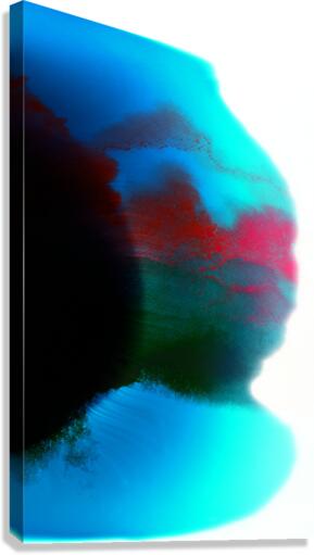 Ink Black Spot Canvas Print