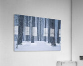 April Snow Acrylic Print