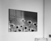 Looking Up Acrylic Print