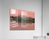 November Pink Acrylic Print
