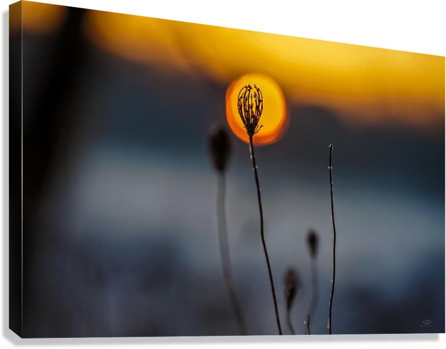 Lagoon Sunrise Canvas Print