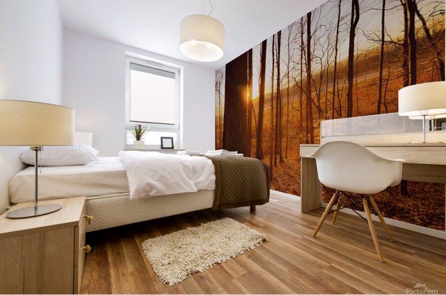 Daybreak Mural print
