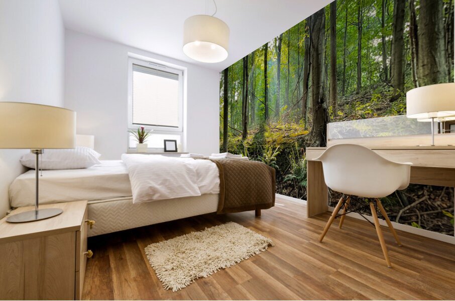 Baldwin Woods Mural print