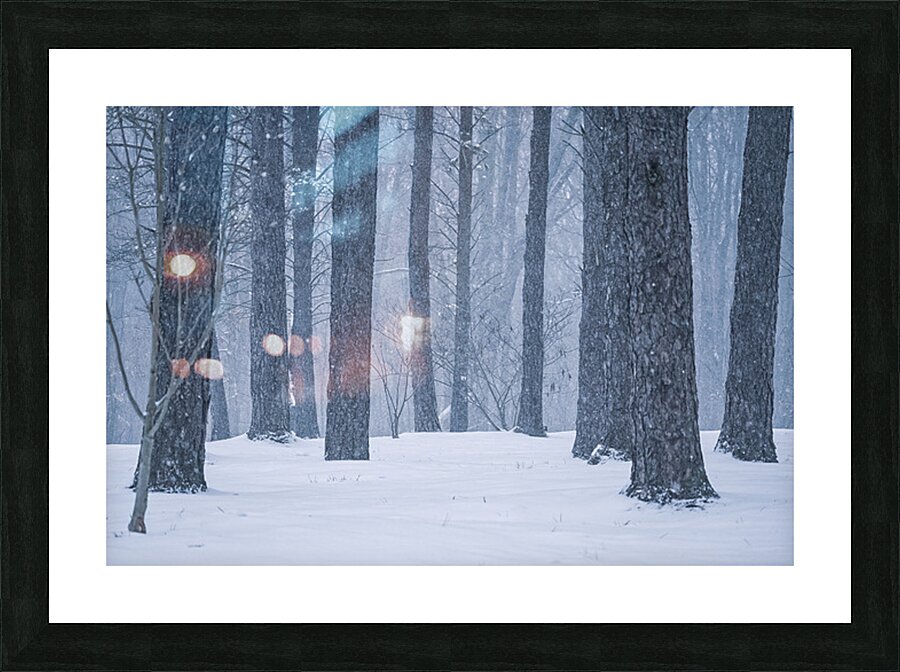 April Snow Picture Frame print