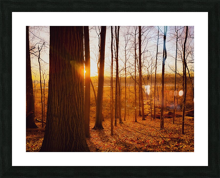 Daybreak Picture Frame print