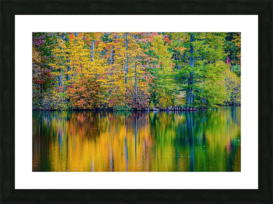 Fall Impressions Picture Frame print