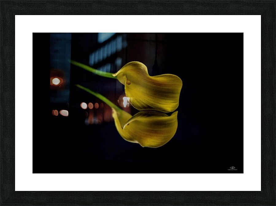 Lily Picture Frame print