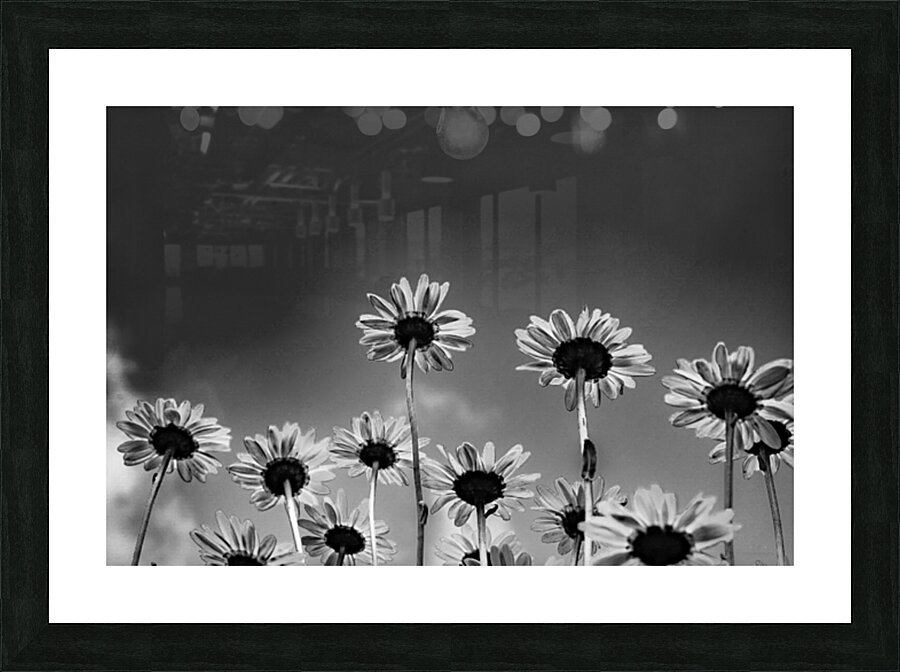 Looking Up Picture Frame print