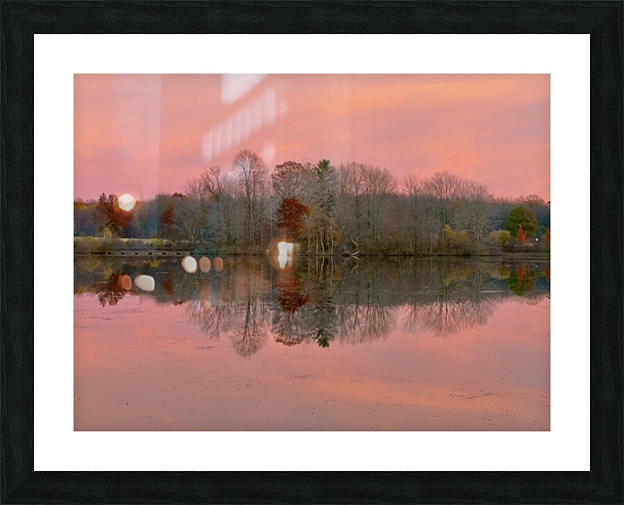 November Pink Picture Frame print