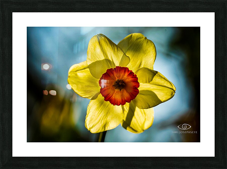Spring Picture Frame print