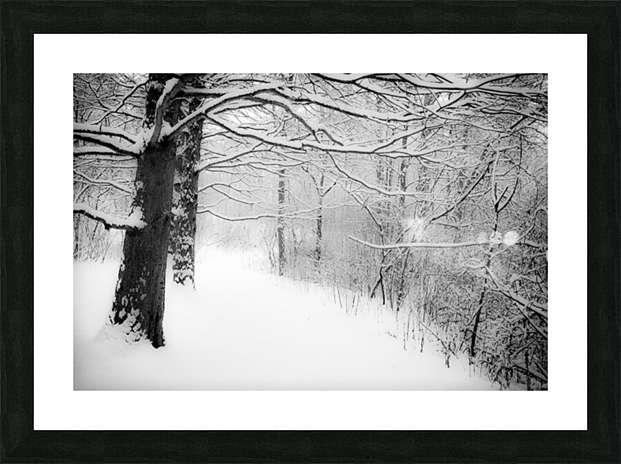 Dreaming Picture Frame print