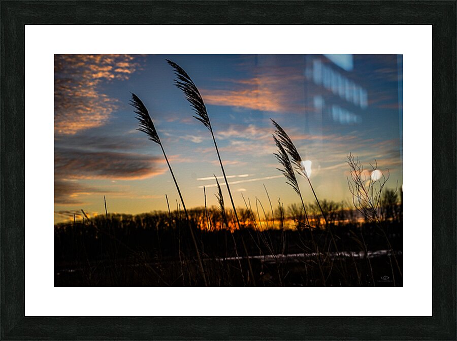 Four Friends Picture Frame print