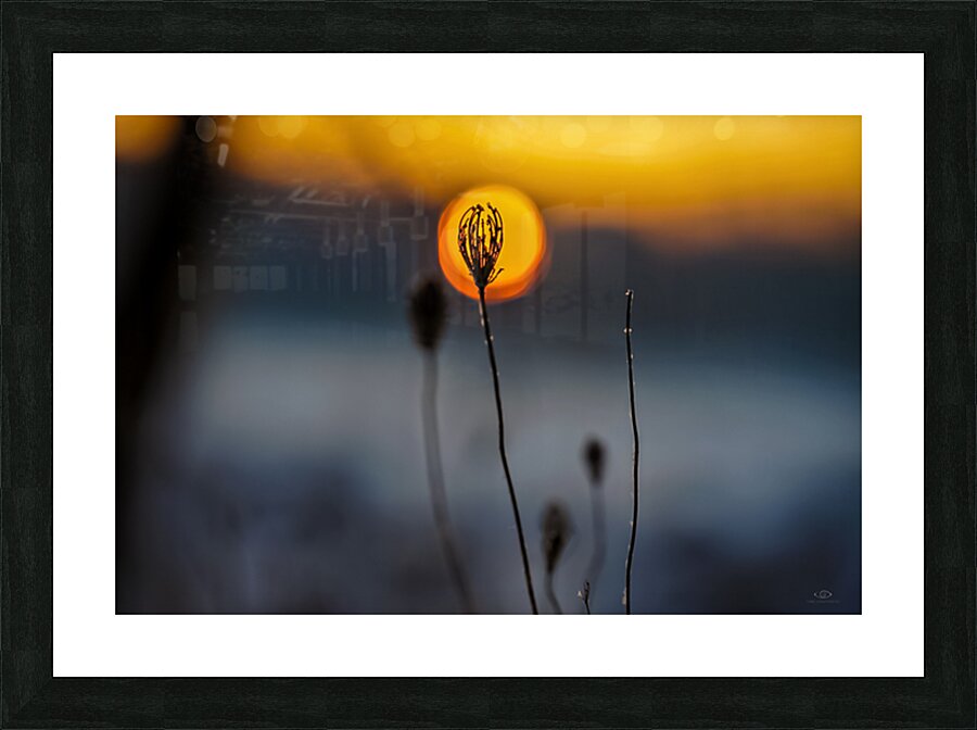 Lagoon Sunrise Picture Frame print