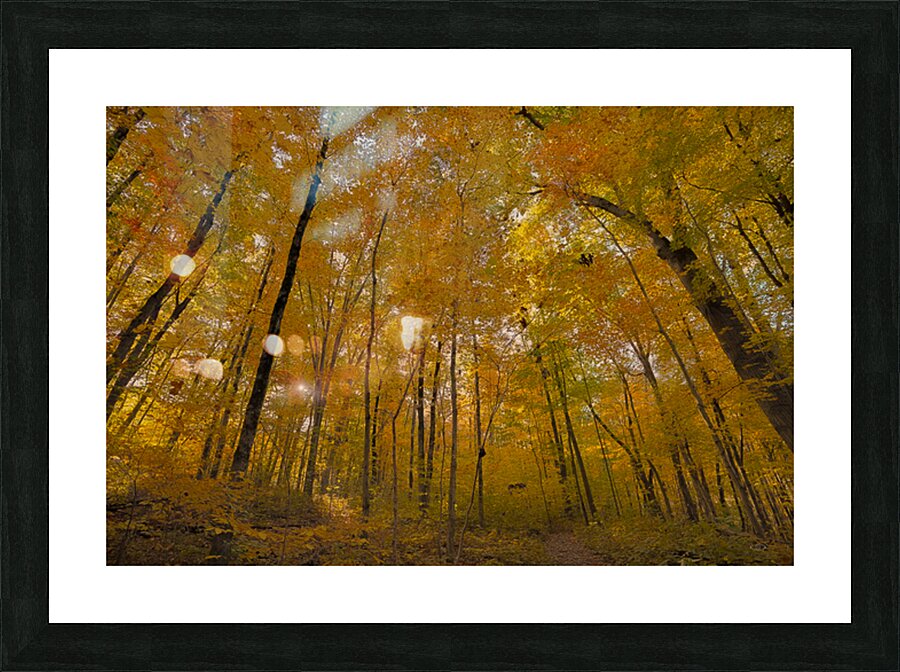 Autumn Color Picture Frame print