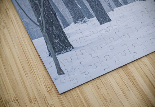 April Snow thrujosephseye puzzle