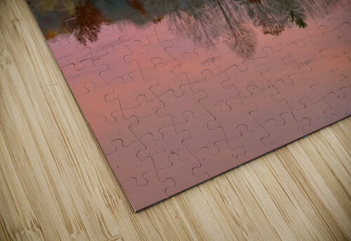 November Pink thrujosephseye puzzle