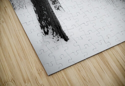 Dreaming thrujosephseye puzzle