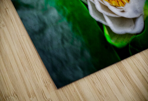 Lotus thrujosephseye puzzle