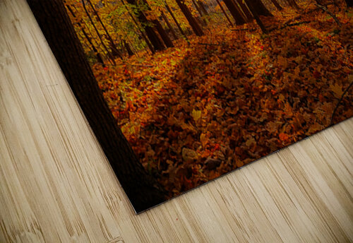 Autumn Sun thrujosephseye puzzle